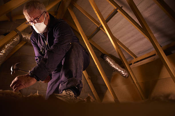 Types of Insulation We Offer in Dale, IN